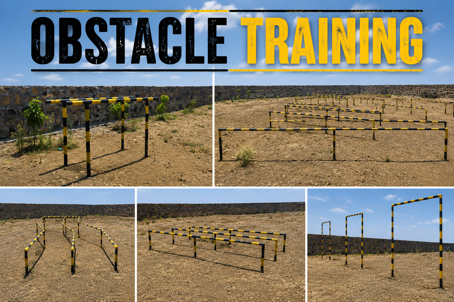 Obstacle Training